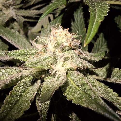 476456585_122166565268293599_4114041585067884185_n