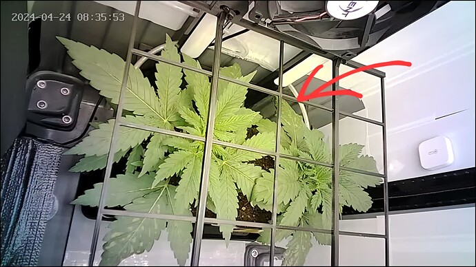 Growreport Bild 7