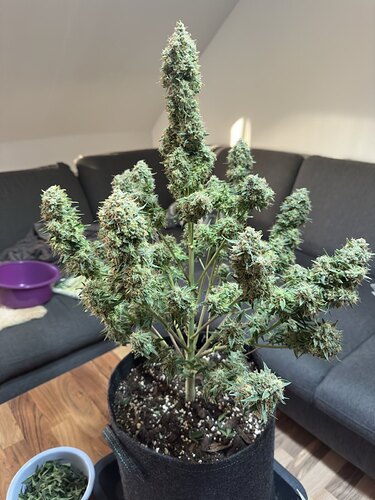 signal-2024-08-23-210844_002