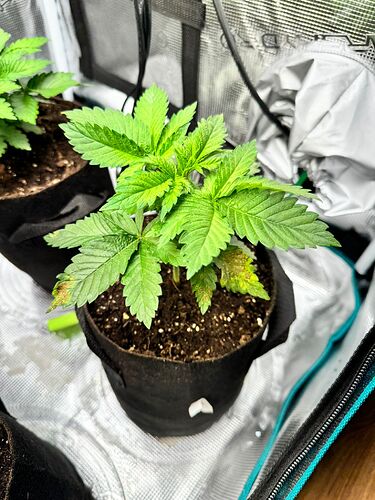 WhatsApp Image 2024-04-14 at 19.56.05