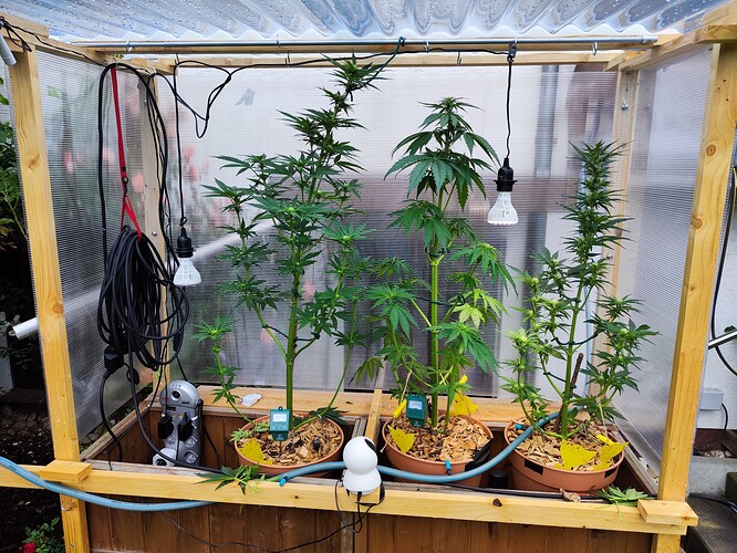 Growreport Bild 8