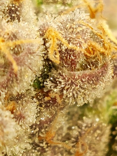 Growreport Bild 24