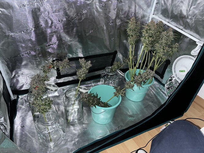 Growreport Bild 12