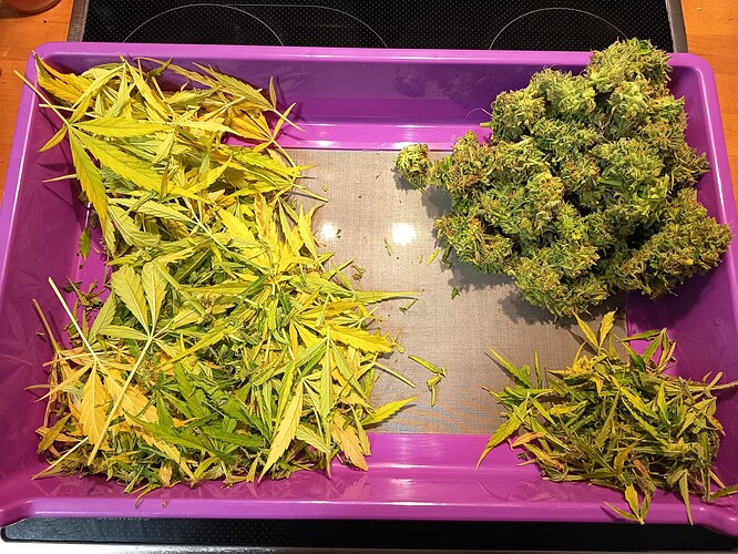 Growreport Bild 8