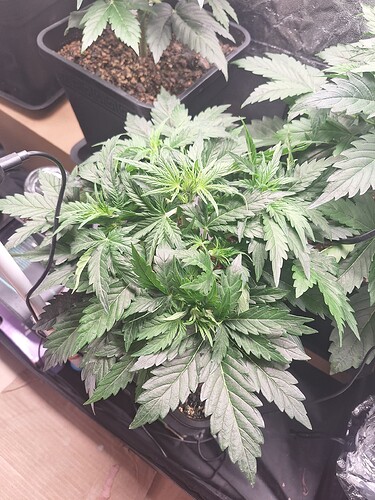 Growreport Bild 7