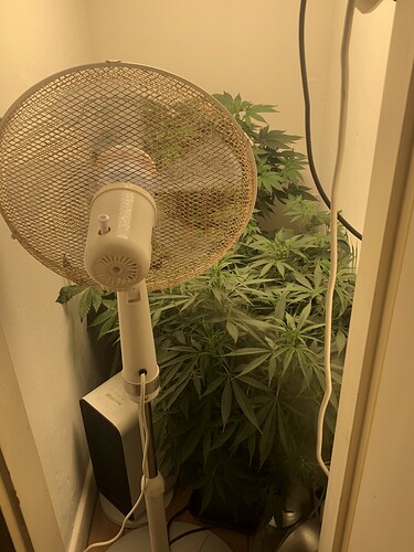 Growreport Bild 15