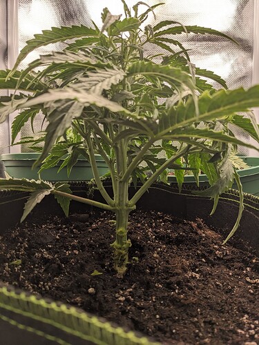 PXL_20240515_005817949