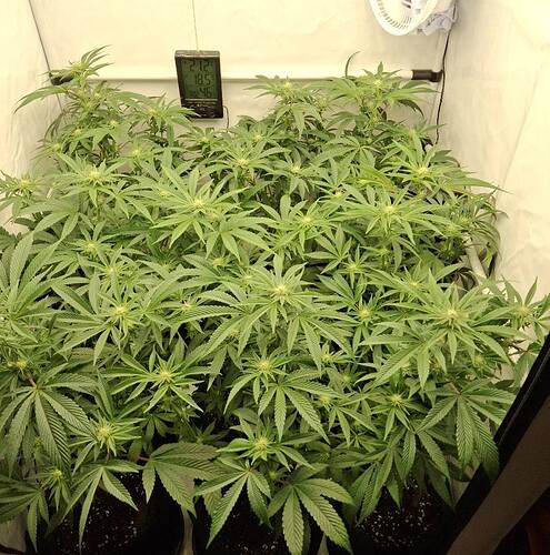 Growreport Bild 24