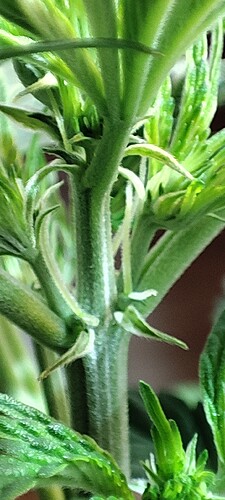 Growreport Bild 13