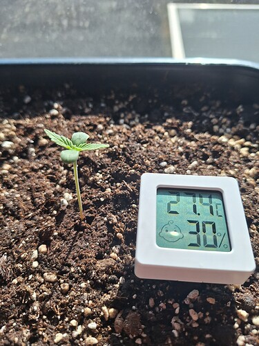 Growreport Bild 13