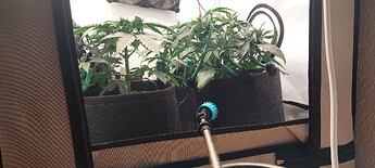 Growreport Bild 4