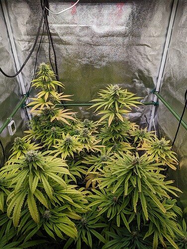 PXL_20240616_161851874