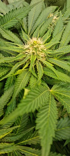 Growreport Bild 18