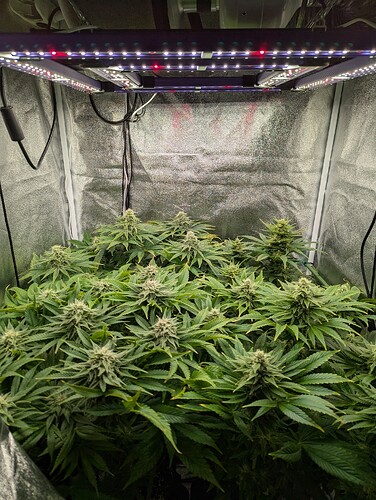 PXL_20250410_212451533