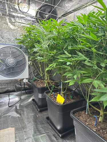 Growreport Bild 26