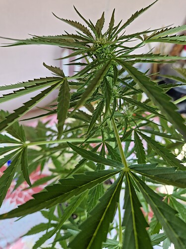 Growreport Bild 12