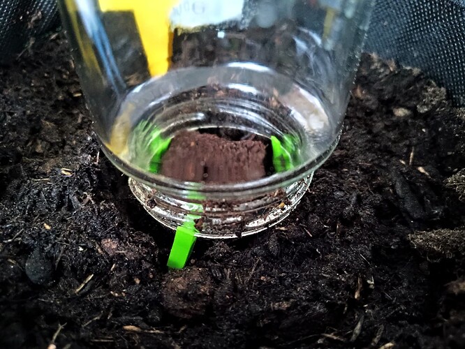 IMG_20240409_193024934