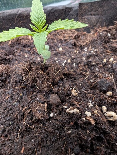 PXL_20250416_164024021