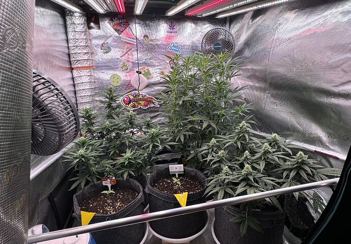 Growreport Bild 1