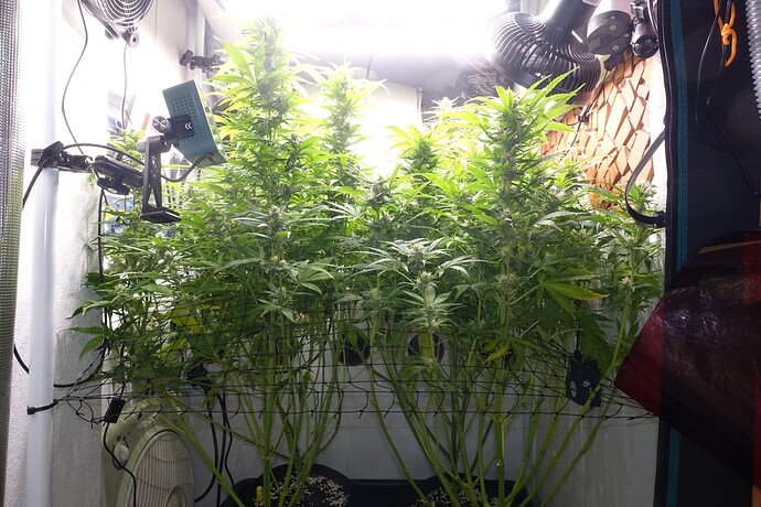 Growreport Bild 2