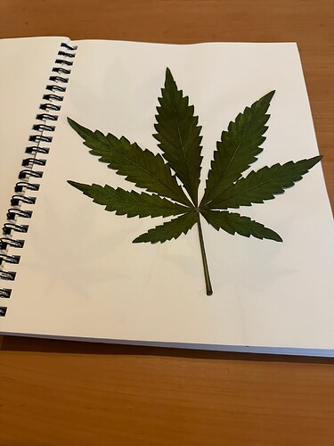 Growreport Bild 1