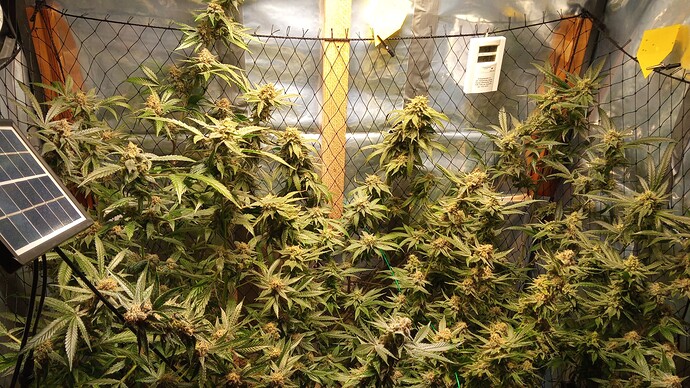 Growreport Bild 4