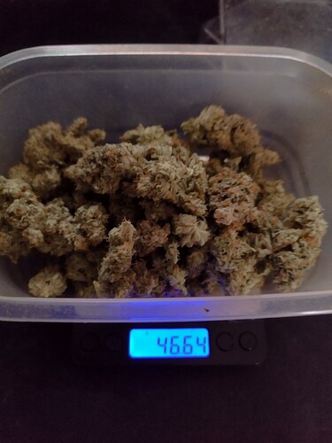 Growreport Bild 16