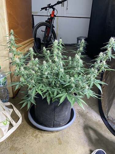 Growreport Bild 47