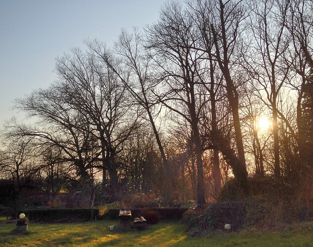 Grow25_0323_Bauerngarten_1