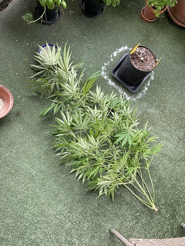 Growreport Bild 10
