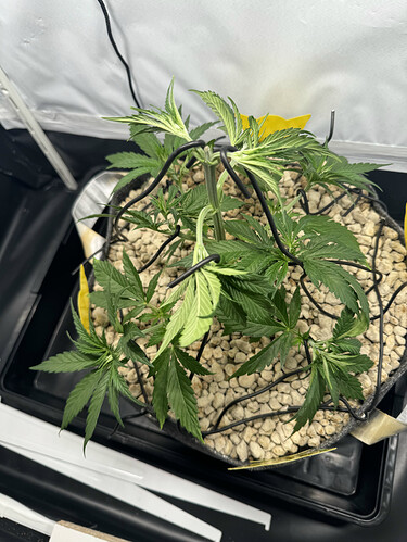 20240503_051619865_iOS