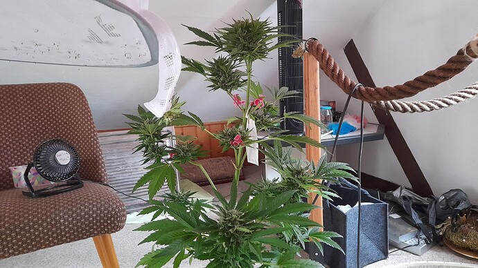 Growreport Bild 17