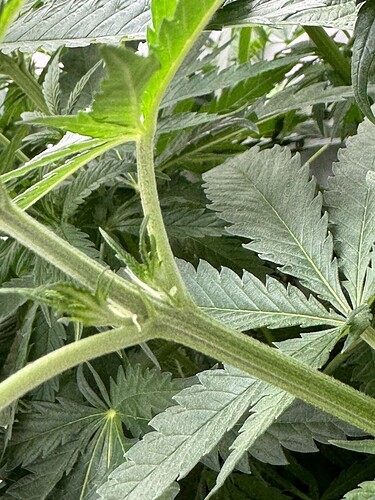Growreport Bild 4