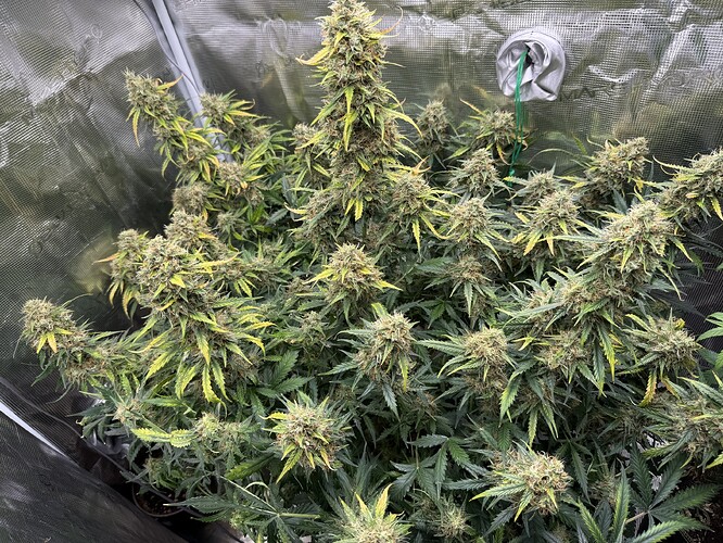 Growreport Bild 23
