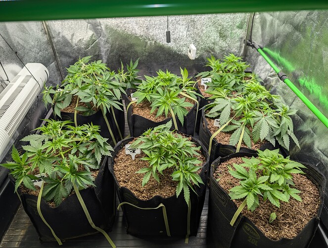 Growreport Bild 2