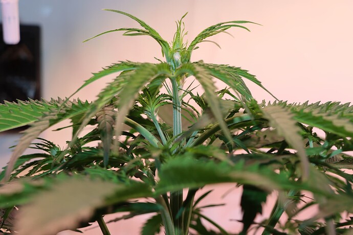 Growreport Bild 23