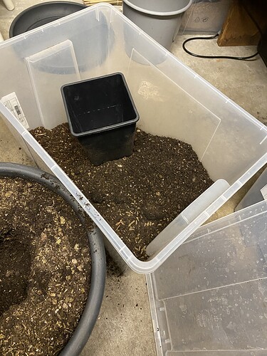 Growreport Bild 27