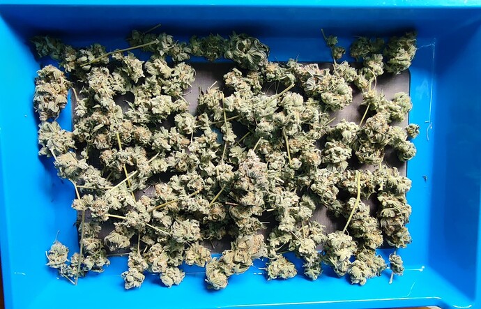 Growreport Bild 8