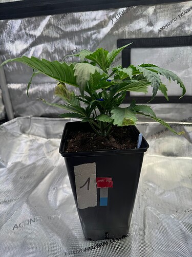 Growreport Bild 14