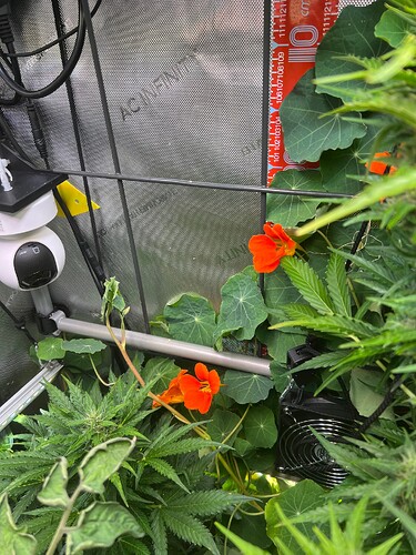 Growreport Bild 28