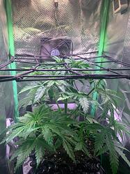 WhatsApp Bild 2024-12-10 um 16.30.39_d1717e97