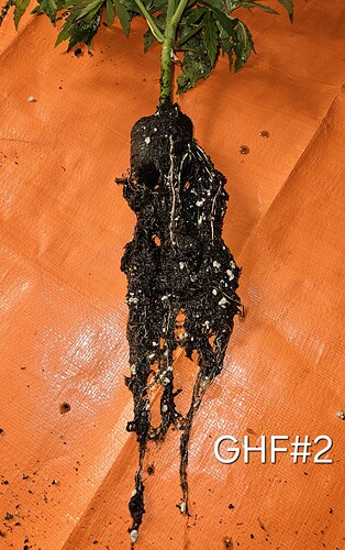 Growreport Bild 3
