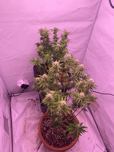 Growreport Bild 13