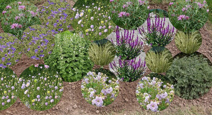 Growreport Bild 11