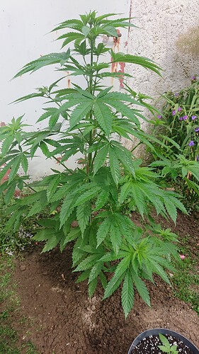 Growreport Bild 21