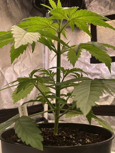 Growreport Bild 7