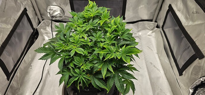 Growreport Bild 6