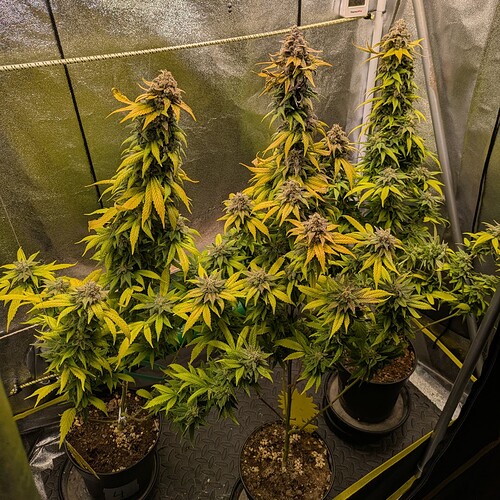 Growreport Bild 12