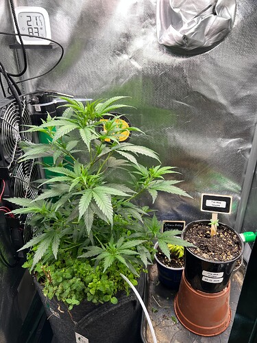 Growreport Bild 9