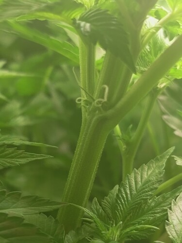 Growreport Bild 20